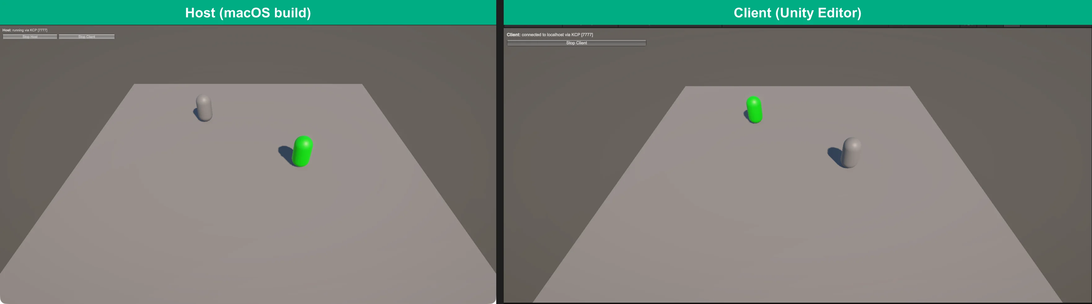 Host running in a macOS build and a client in the Unity Editor, both showing the same two players